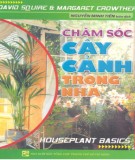 Hướng dẫn chăm sóc cây cảnh trong nhà: Phần 2