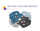 Bài giảng Hóa học Acid amin-protein