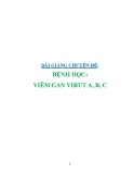 Bài giảng chuyên đề Bệnh học: Viên gan virut A,B,C