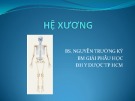 Bài giảng Hệ xương -  BS. Nguyễn Trường Kỳ tt