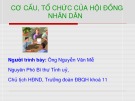 Bài giảng Cơ cấu, tổ chức của Hội đồng nhân dân - Nguyễn Văn Mễ