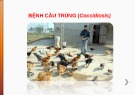 Bài giảng Bệnh cầu trùng (Coccidiosis)