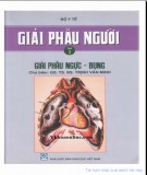 Tập 2: Giải phẫu ngực-bụng - Giải phẫu người: Phần 2