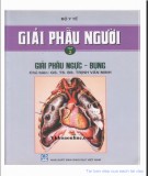 Tập 2: Giải phẫu ngực-bụng - Giải phẫu người: Phần 1