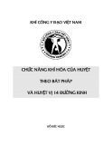 Chức năng khí hóa của huyệt theo bát pháp và huyệt 14 đường kinh - Khí công Y đạo Việt Nam