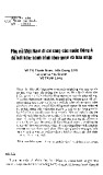 Phụ nữ Việt Nam di cư sang các nước Đông Á để kết hôn: hành trình làm quen và hòa nhập