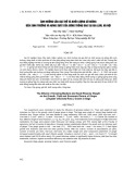 Ảnh hưởng của giá thể và khối lượng củ giống đến sinh trưởng và năng suất của gừng trồng bao tại Gia Lâm, Hà Nội