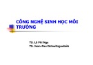 Bài giảng Công nghệ sinh học môi trường - TS. Lê Phi Nga, TS. Jean-Paul Schwitzguebéls