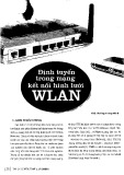 Định tuyến trong mạng kết nối hình lưới WLAN