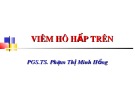 Bài giảng Viêm hô hấp trên - PGS.TS. Phạm Thị Minh Hồng