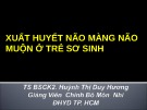 Bài giảng Xuất huyết não màng não muộn ở trẻ sơ sinh - TS.BSCK2. Huỳnh Thị Duy Hương