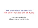 Bài giảng Tân sinh trong biểu mô CTC: Hình ảnh mô học và soi CTC bất thường - PGS.TS. Lê Hồng Cẩm