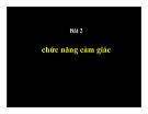 Bài giảng Bài 2: Chức năng cảm giác (TT)