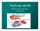 Bài giảng Tuyến tụy nội tiết