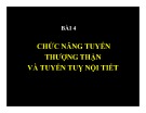 Bài giảng Bài 4: Chức năng tuyến thượng thận và tuyến tụy nội tiết