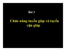 Bài giảng Bài 3: Chức năng tuyến giáp và tuyến cận giáp
