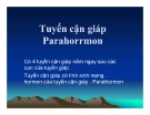 Bài giảng Tuyến cận giáp - Parahorrmon