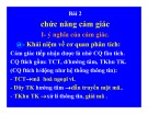 Bài giảng Bài 2: Chức năng cảm giác