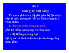 Bài giảng bài 3: Cảm giác ánh sáng