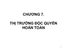 Bài giảng Chương 7: Thị trường độc quyền hoàn toàn