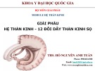 Bài giảng Giải phẫu hệ thần kinh - 12 đôi dây thần kinh sọ