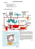 Bài giảng Hệ thống bôi trơn - Hệ thống làm mát