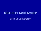 Bài giảng Bệnh phổi nghề nghiệp - PGS.TS.BS. Lê Hoàng Ninh