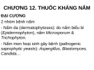 Bài giảng Chương 12: Thuốc kháng nấm