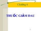 Bài giảng Chương 6: Thuốc giảm đau