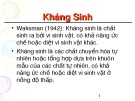 Bài giảng Kháng sinh Betalactam