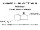 Bài giảng Chương 13: Thuốc tẩy giun