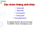 Bài giảng Chương 18: Các nhóm kháng sinh khác