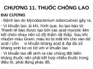 Bài giảng Chương 11: Thuốc chống lao