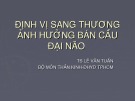 Bài giảng Định vị sang thương ảnh hưởng bán cầu đại não - TS. Lê Văn Tuấn