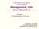 Management - Chapter 1: The Management Process