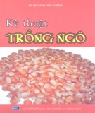 Hướng dẫn trồng ngô: Phần 2