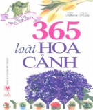 Sưu tầm 365 loài hoa cảnh: Phần 2