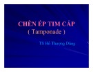 Bài giảng Chèn ép tim cấp - TS. Hồ Thượng Dũng