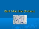 Bài giảng Bệnh nhiệt thán (Anthrax)