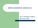 Bài giảng Bệnh Herpes Simplex - BS. Võ Thị Bạch Sương
