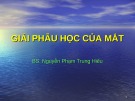 Bài giảng Giải phẫu học của mắt - BS. Nguyễn Phạm Trung Hiếu