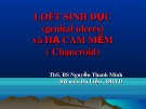 Bài giảng Loét sinh dục (Genital Ulcers) và hạ cam mềm (Chancroid) - ThS.BS. Nguyễn Thanh Minh