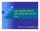 Bài giảng Các nguyên tắc cơ bản trong siêu âm tim thai - PGS. TS. Phạm Nguyễn Vinh