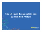 Bài giảng Các kỹ thuật nghiên cứu và phân tích Protein