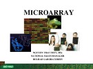 Bài giảng Microarray