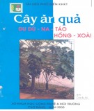 Kỹ thuật trồng Cây ăn quả đu đủ - na - táo - hồng - xoài: Phần 1