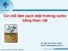 Bài giảng Cơ chế làm sạch môi trường nước bằng thực vật