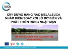 Bài giảng Xây dựng hàng rào Melaleuca nhằm kiểm soát xói lở bờ biển và phát triển rừng ngập mặn