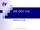 Bài giảng Mã độc hại (Malicious Code)