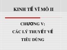 Bài giảng Kinh tế vĩ mô II: Chương 5 - ThS. Nguyễn Thị Hồng